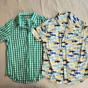 Crewcuts 2 Boys 10 Summer Short Sleeve Button Downs - Gingham Seersucker Fish